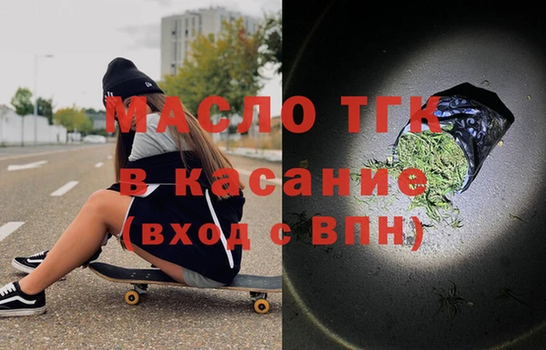 сатива Няндома