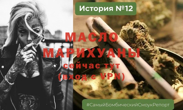 сатива Няндома
