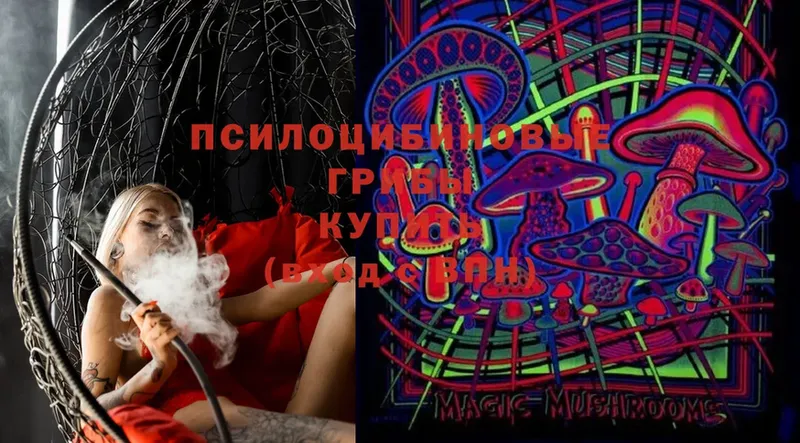 Псилоцибиновые грибы MAGIC MUSHROOMS  Микунь 