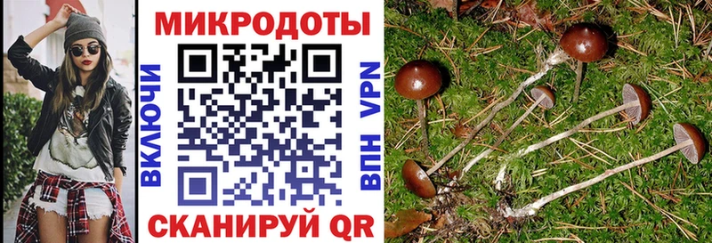 Псилоцибиновые грибы Psilocybe  даркнет сайт  Микунь 
